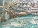 13-Fletcher_Canyon_Trail_Stream_COLOR_PENCIL_Cropped.jpg