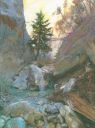 15-Fletcher_Canyon_Trail_Tree_COLOR_PENCIL_Cropped.jpg
